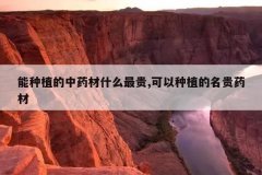 <b>����ֲ����ҩ��ʲô���,������ֲ������ҩ��</b>
