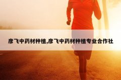 <b>�����ҩ����ֲ,�����ҩ����ֲרҵ������</b>