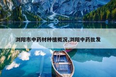 <b>�������ҩ����ֲ�ſ�,�����ҩ����</b>