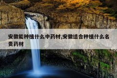 <b>��������ֲʲô��ҩ��,�����ʺ���ֲʲô����ҩ��</b>