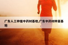 <b>�㶫�˹���ֲ��ҩ�Ļ���,�㶫��ҩ���������</b>