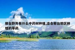 <b>��̨Ұ����ʲô��ҩ����ֲ,�ʺ���̨������ֲ�Ĳ�ҩ</b>