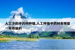 <b>�˹��ٵ���ҩ����ֲ,�˹���ֲ��ҩ������Щһ�������</b>