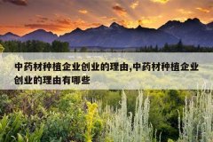 <b>��ҩ����ֲ��ҵ��ҵ������,��ҩ����ֲ��ҵ��ҵ����������Щ</b>