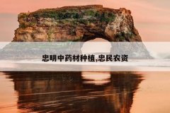 <b>������ҩ����ֲ,����ũ��</b>