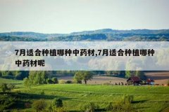 <b>7���ʺ���ֲ������ҩ��,7���ʺ���ֲ������ҩ����</b>