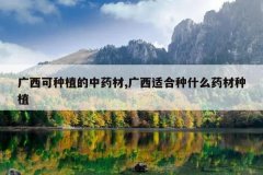 <b>��������ֲ����ҩ��,�����ʺ���ʲôҩ����ֲ</b>