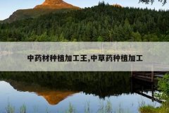 <b>��ҩ����ֲ�ӹ���,�в�ҩ��ֲ�ӹ�</b>
