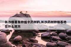 <b>��ɳ��������ֲ��ҩ�ĵ�,��ɳҩ����ֲ������ʲô�ط�</b>
