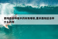 <b>�����ʺ���ֲ��ҩ������Щ,���������ʺ���ʲôҩ��</b>