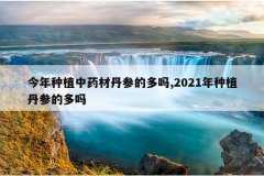 <b>������ֲ��ҩ�ĵ��εĶ���,2021����ֲ���εĶ���</b>