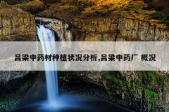 <b>������ҩ����ֲ״������,������ҩ�� �ſ�</b>