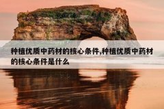 <b>��ֲ������ҩ�ĵĺ�������,��ֲ������ҩ�ĵĺ���������ʲô</b>