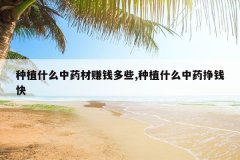 <b>��ֲʲô��ҩ��׬Ǯ��Щ,��ֲʲô��ҩ��Ǯ��</b>