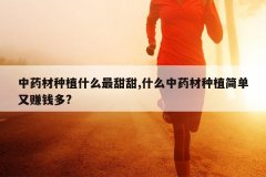 <b>��ҩ����ֲʲô������,ʲô��ҩ����ֲ����׬Ǯ��?</b>