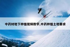 <b>��ҩ�ĵ�����ֲ��Ƶ��ѧ,��ҩ��ֲ����Ҫ��</b>