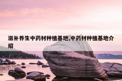 <b>�̲�������ҩ����ֲ����,��ҩ����ֲ���ؽ���</b>