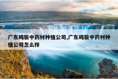 <b>�㶫������ҩ����ֲ��˾,�㶫������ҩ����ֲ��˾��ô��</b>
