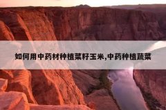<b>�������ҩ����ֲ��������,��ҩ��ֲ�߲�</b>