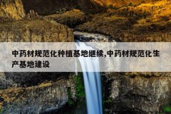<b>��ҩ�Ĺ淶����ֲ���ؼ���,��ҩ�Ĺ淶���������ؽ���</b>