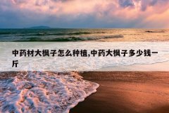 <b>��ҩ�Ĵ������ô��ֲ,��ҩ����Ӷ���Ǯһ��</b>