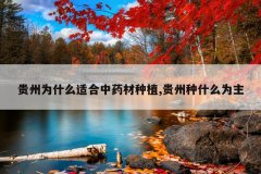 <b>����Ϊʲô�ʺ���ҩ����ֲ,������ʲôΪ��</b>