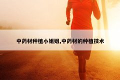 <b>��ҩ����ֲС���,��ҩ�ĵ���ֲ����</b>