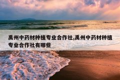<b>������ҩ����ֲרҵ������,������ҩ����ֲרҵ����������Щ</b>