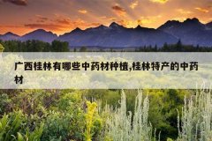 <b>������������Щ��ҩ����ֲ,�����ز�����ҩ��</b>