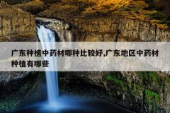 <b>�㶫��ֲ��ҩ�����ֱȽϺ�,�㶫������ҩ����ֲ����Щ</b>