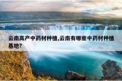 <b>���ϸ߲���ҩ����ֲ,��������Щ��ҩ����ֲ����?</b>