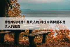<b>��ֲ��ҩ���ǲ��ǿ��˵�,��ֲ��ҩ���ǲ��ǿ��˵Ķ���</b>