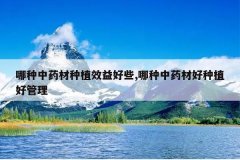 <b>������ҩ����ֲЧ���Щ,������ҩ�ĺ���ֲ�ù���</b>