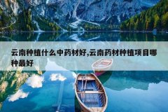 <b>������ֲʲô��ҩ�ĺ�,����ҩ����ֲ��Ŀ�������</b>