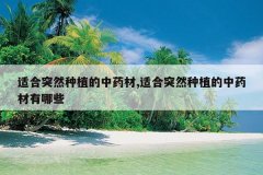 <b>�ʺ�ͻȻ��ֲ����ҩ��,�ʺ�ͻȻ��ֲ����ҩ������Щ</b>