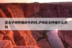 <b>�ʺ�������ֲ����ҩ��,�����ʺ���ֲʲôҩ��</b>