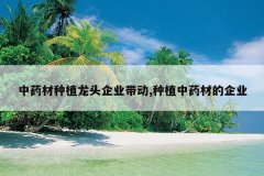 <b>��ҩ����ֲ��ͷ��ҵ����,��ֲ��ҩ�ĵ���ҵ</b>