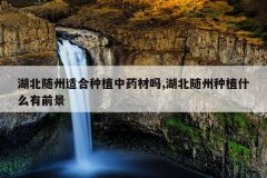 <b>���������ʺ���ֲ��ҩ����,����������ֲʲô��ǰ��</b>