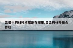 <b>������ҩ����ֲĹ��������,����ҩ����ֲ������</b>