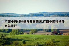 <b>������ҩ����ֲ��ֲ����,������ҩ��ֲʲôǰ����</b>