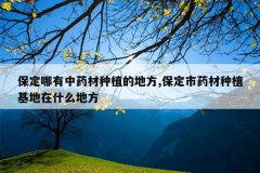 <b>����������ҩ����ֲ�ĵط�,������ҩ����ֲ������ʲô�ط�</b>