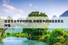 <b>���˶�����ҩ����ֲ,����Щ��ҩ���ʺ϶�����ֲ</b>