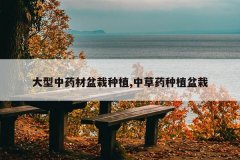 <b>������ҩ��������ֲ,�в�ҩ��ֲ����</b>
