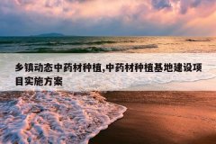 <b>����̬��ҩ����ֲ,��ҩ����ֲ���ؽ�����Ŀʵʩ����</b>