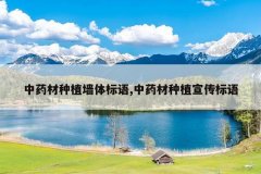 <b>��ҩ����ֲǽ�����,��ҩ����ֲ��������</b>