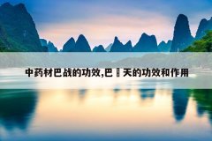 <b>��ҩ�İ�ս�Ĺ�Ч,�͑���Ĺ�Ч������</b>