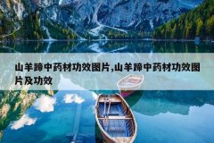 <b>ɽ������ҩ�Ĺ�ЧͼƬ,ɽ������ҩ�Ĺ�ЧͼƬ����Ч</b>