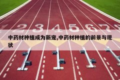 <b>��ҩ����ֲ��Ϊ�³�,��ҩ����ֲ��ǰ������״</b>