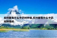 <b>ũ�嶼��ʲô��ҩ����ֲ,ũ�嶼��ʲô��ҩ����ֲ��</b>