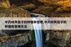 <b>��ҩ�ķ����ӵ���ֲ�͹���,��ҩ�ķ����ӵ���ֲ�͹�������</b>